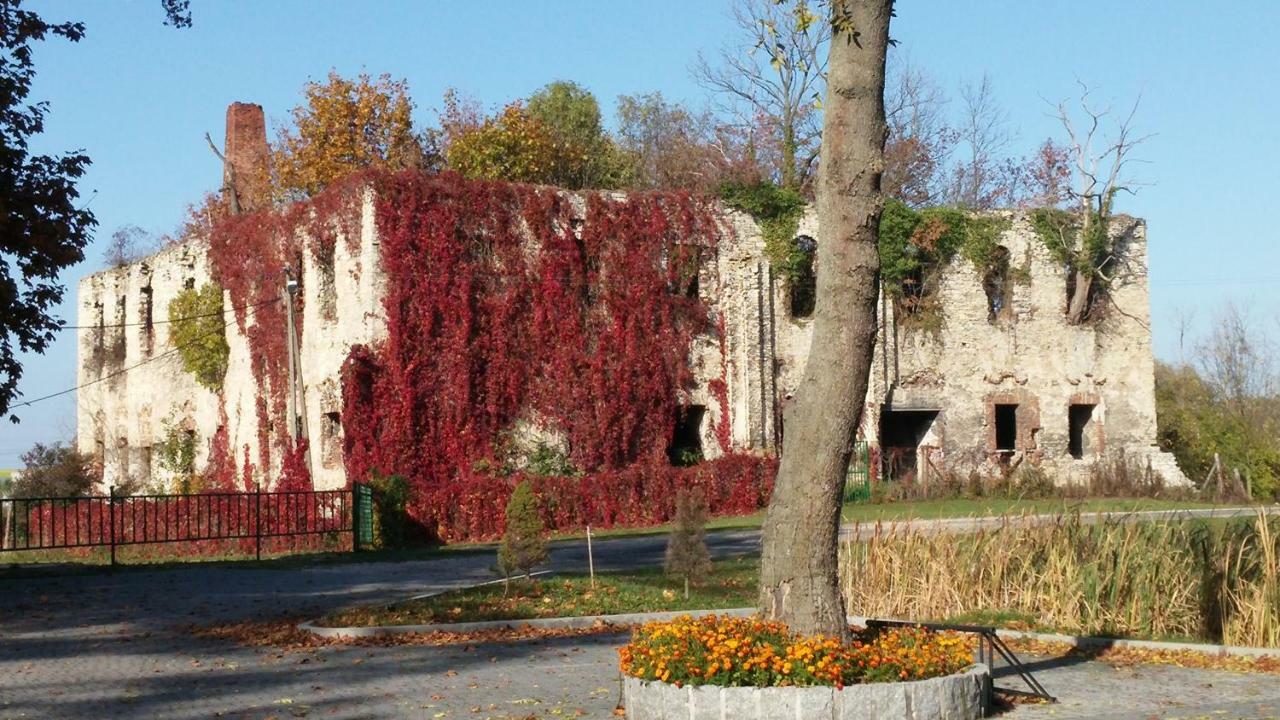 Palac Lucja Bb Zakrzów Dış mekan fotoğraf