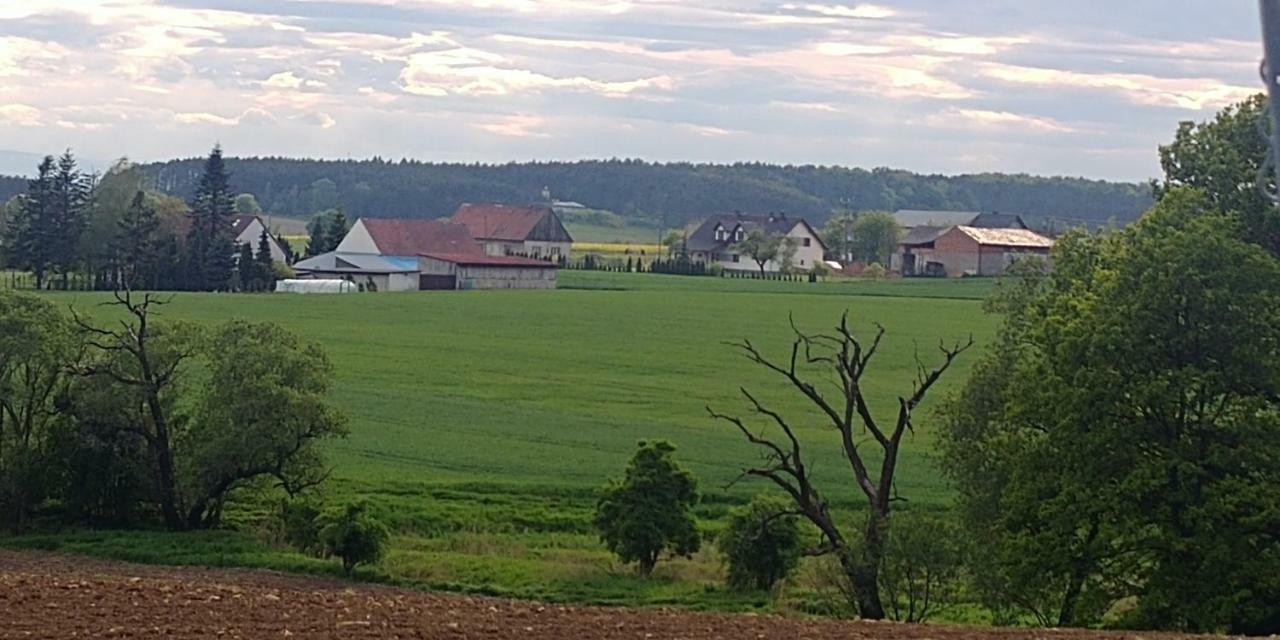 Palac Lucja Bb Zakrzów Dış mekan fotoğraf
